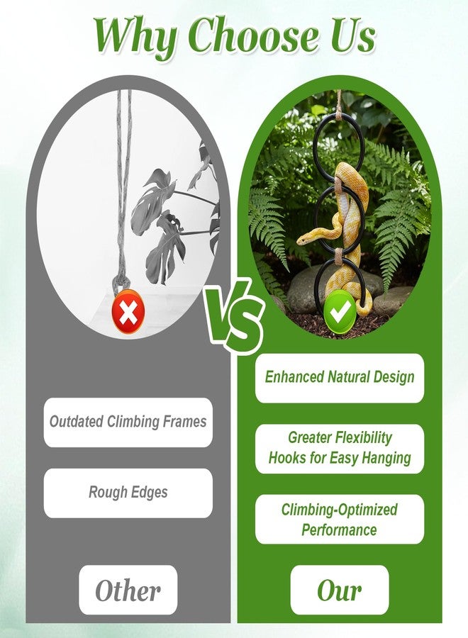 Zelphvt Snake Climbing Rings, Ball Python Tank Accessories, Reptile Enrichment Toys, Corn Snake Playground Climbing Toy for Bearded Dragon,Chameleon,Iguana,Gecko,Lizard 4.3 Inch Diameter, Black - Image 5